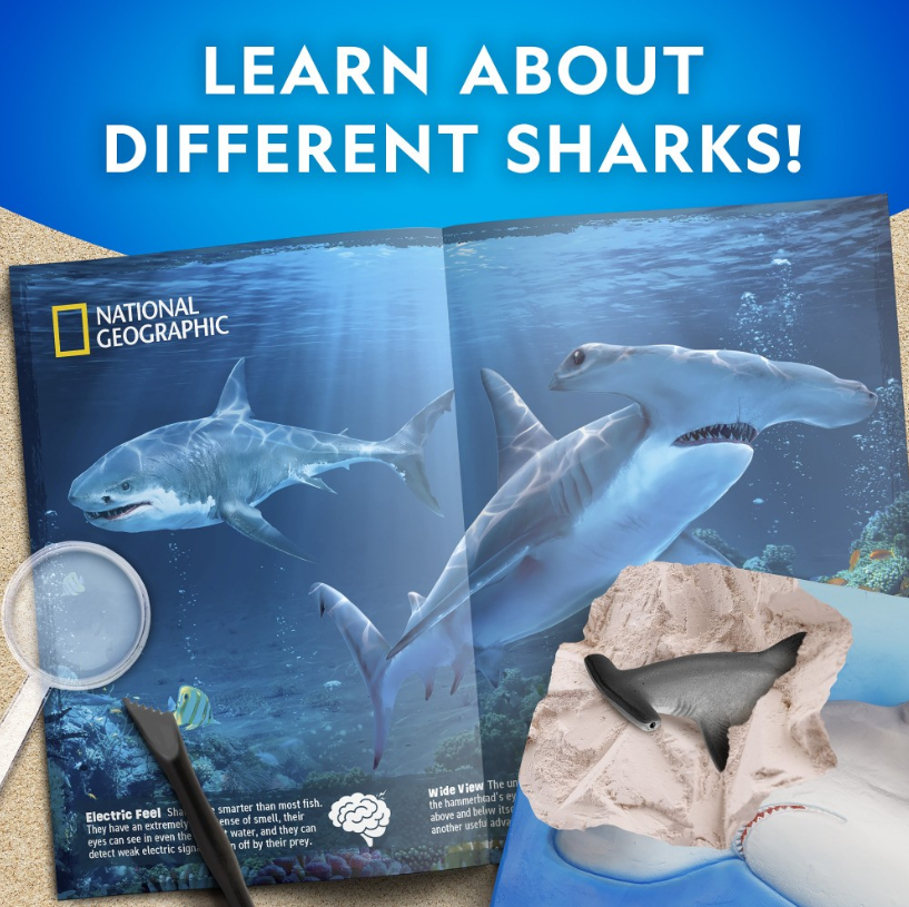 National Geographic Hammerhead Shark Dig Kit