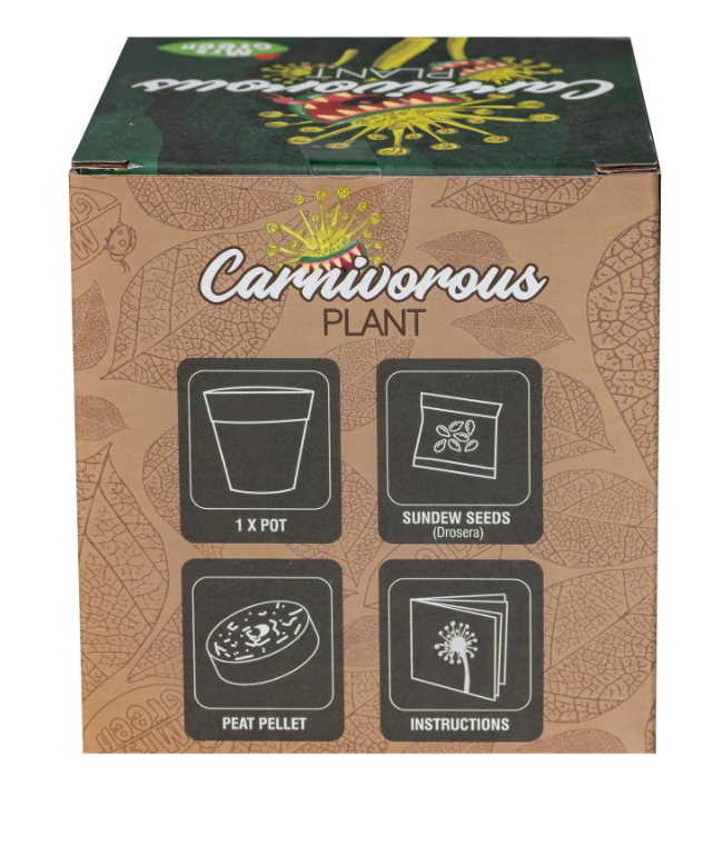 Mrs Green Venus Fly Trap