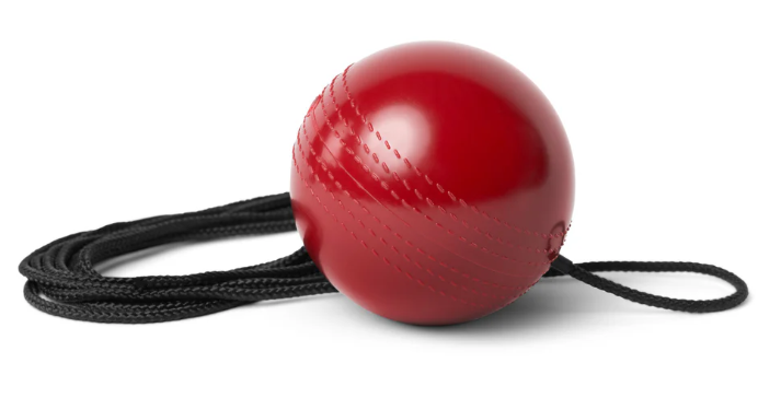 SKLZ Batball Trainer