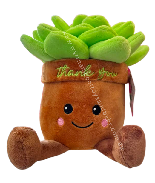 Lushy Plushy Thank You Succulent Plant