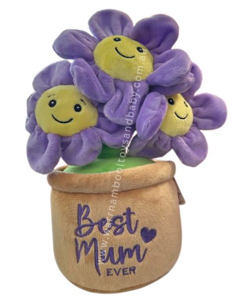 Lushy Plushy Best Mum Ever Flower Pot