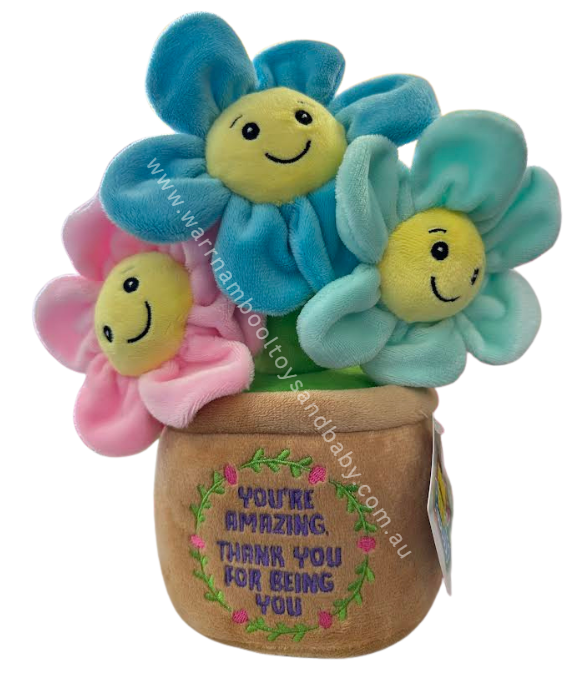 Lushy Plushy You're Amazing Flower Pot