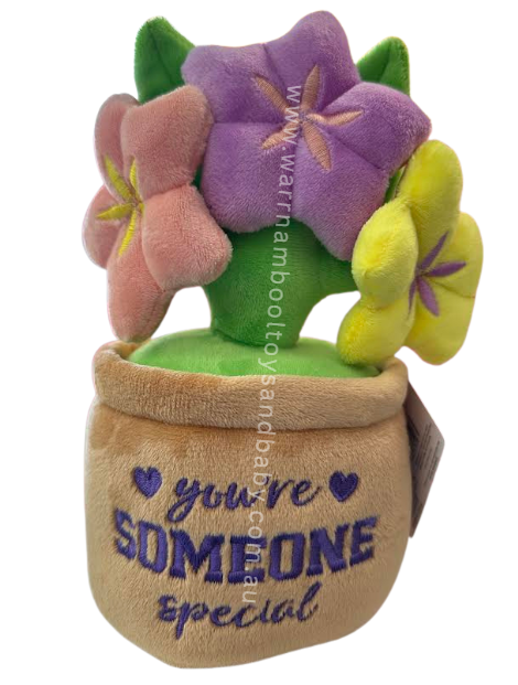 Lushy Plushy You're Someone Special Flower Pot