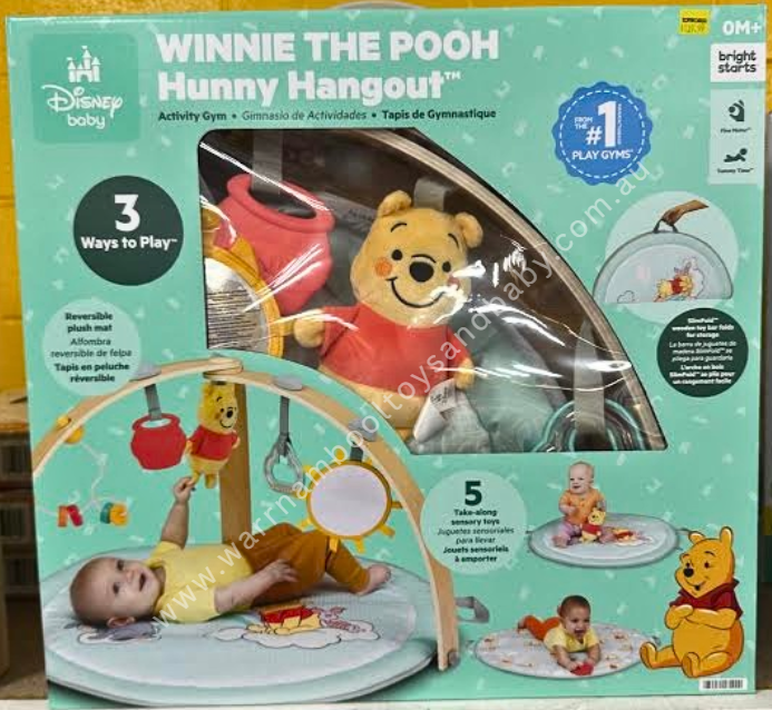 Baby Einstein Winnie The Poo Honey Hangout