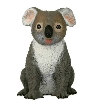 Animals Of Australia Large Koala