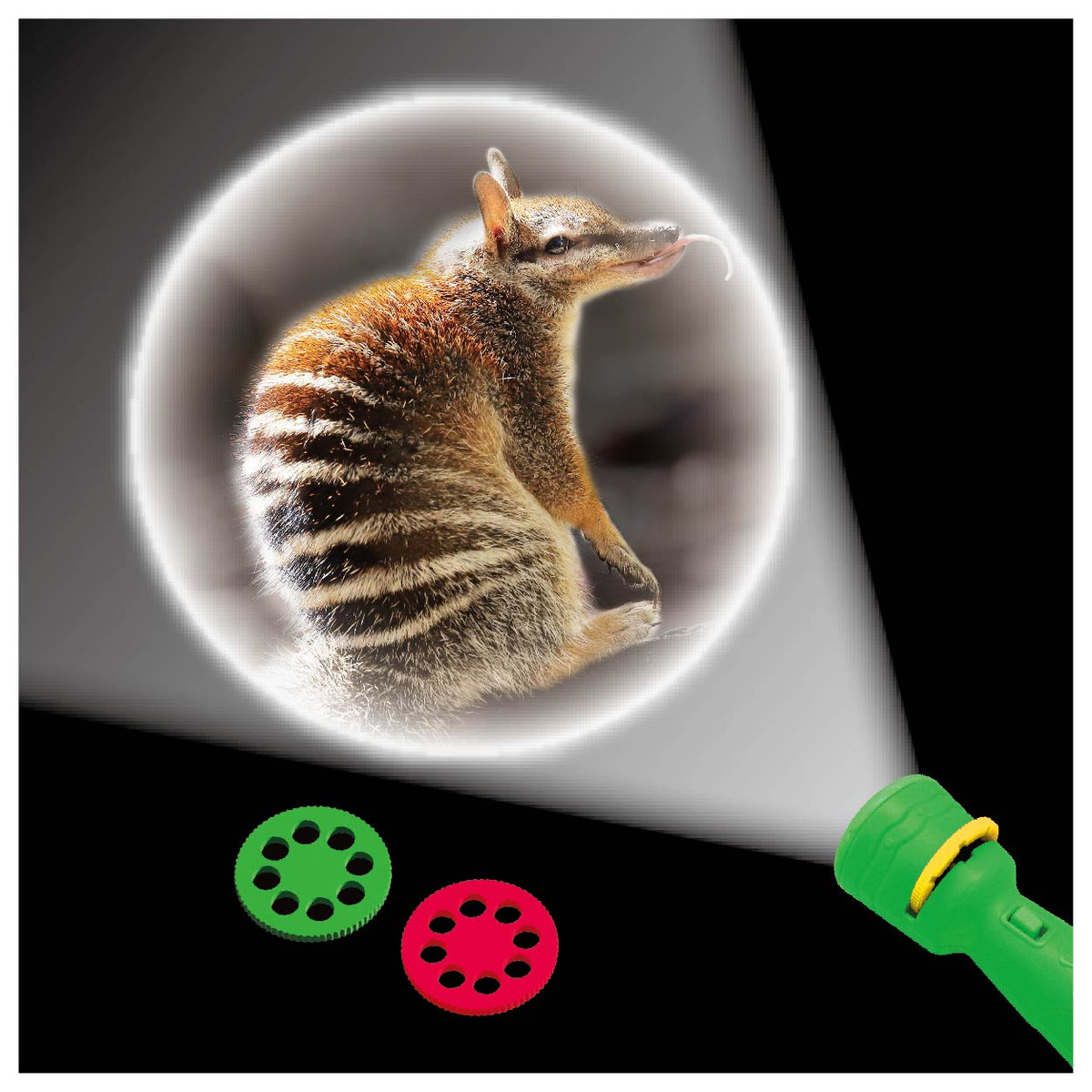 Wild Environmental Science Projector Torch Bizarre Marsupials