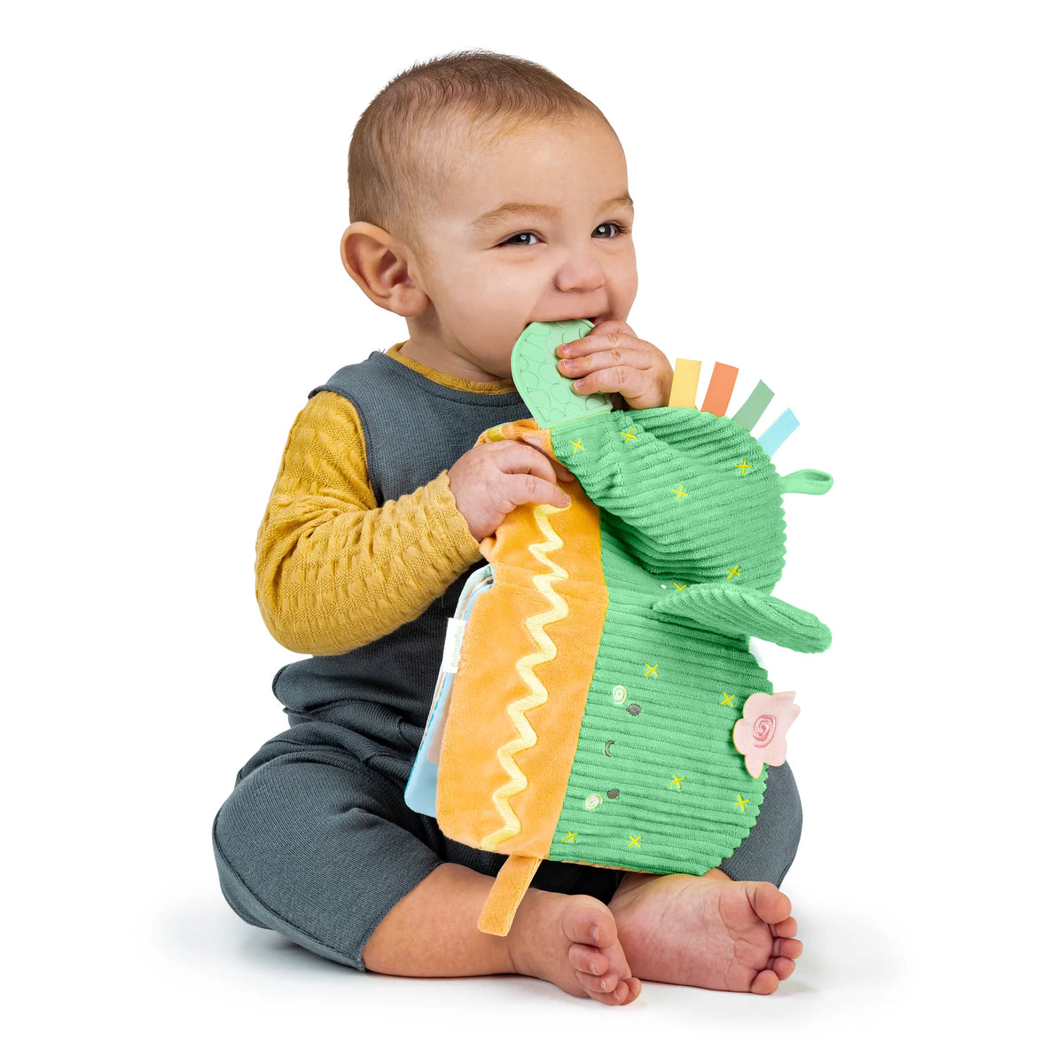 Ingenuity Soft Activity Book Calm Springs