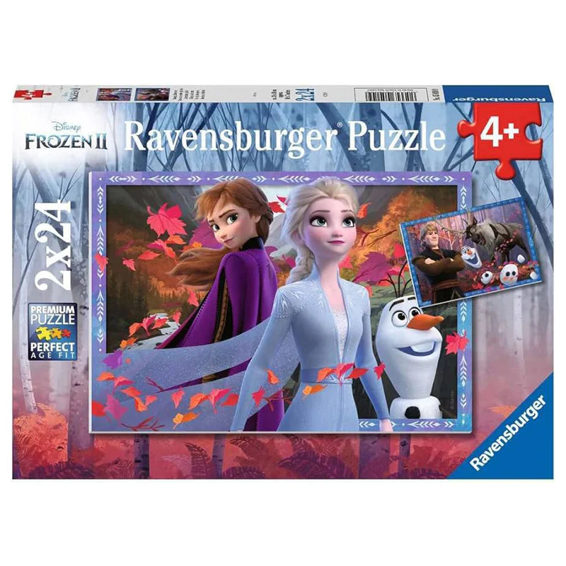 RB05010-9 Disney Frozen Frosty Adventures 2 x 24pc Puzzle
