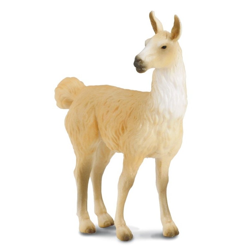 Co88301 Llama