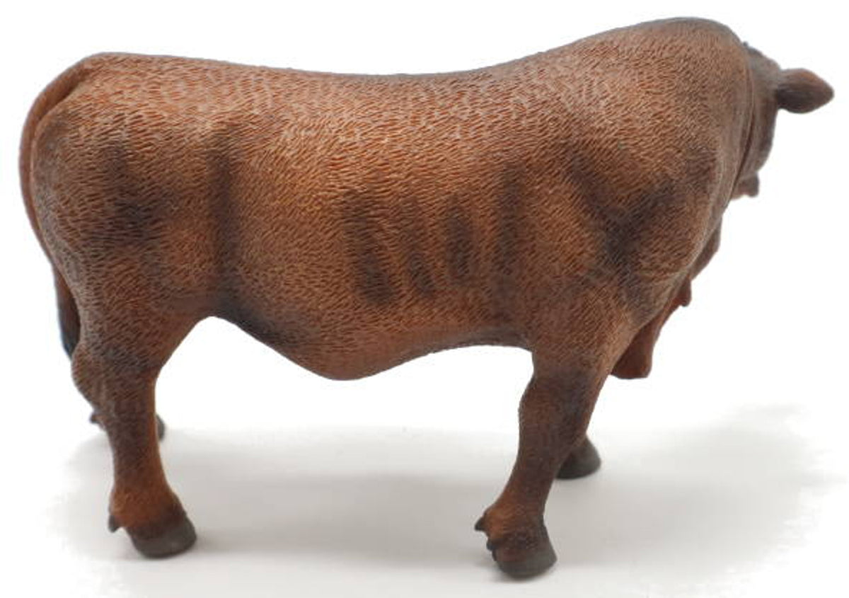 Co88508 Red Angus Bull