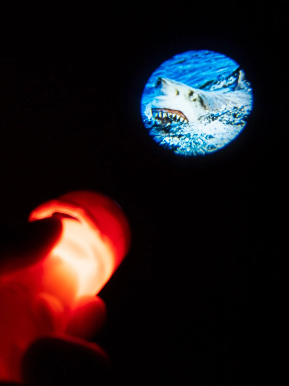 Wild Environmental Science Projector Torch Extreme &amp; Deadly Animals