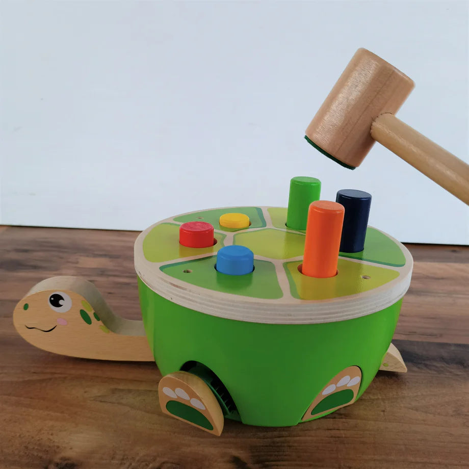 Discoveroo Turtle Smackeroo