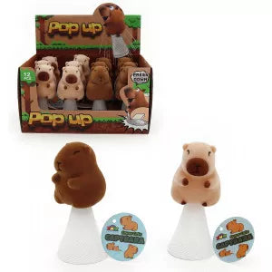 Flocked Capybara Pop Up Assorted