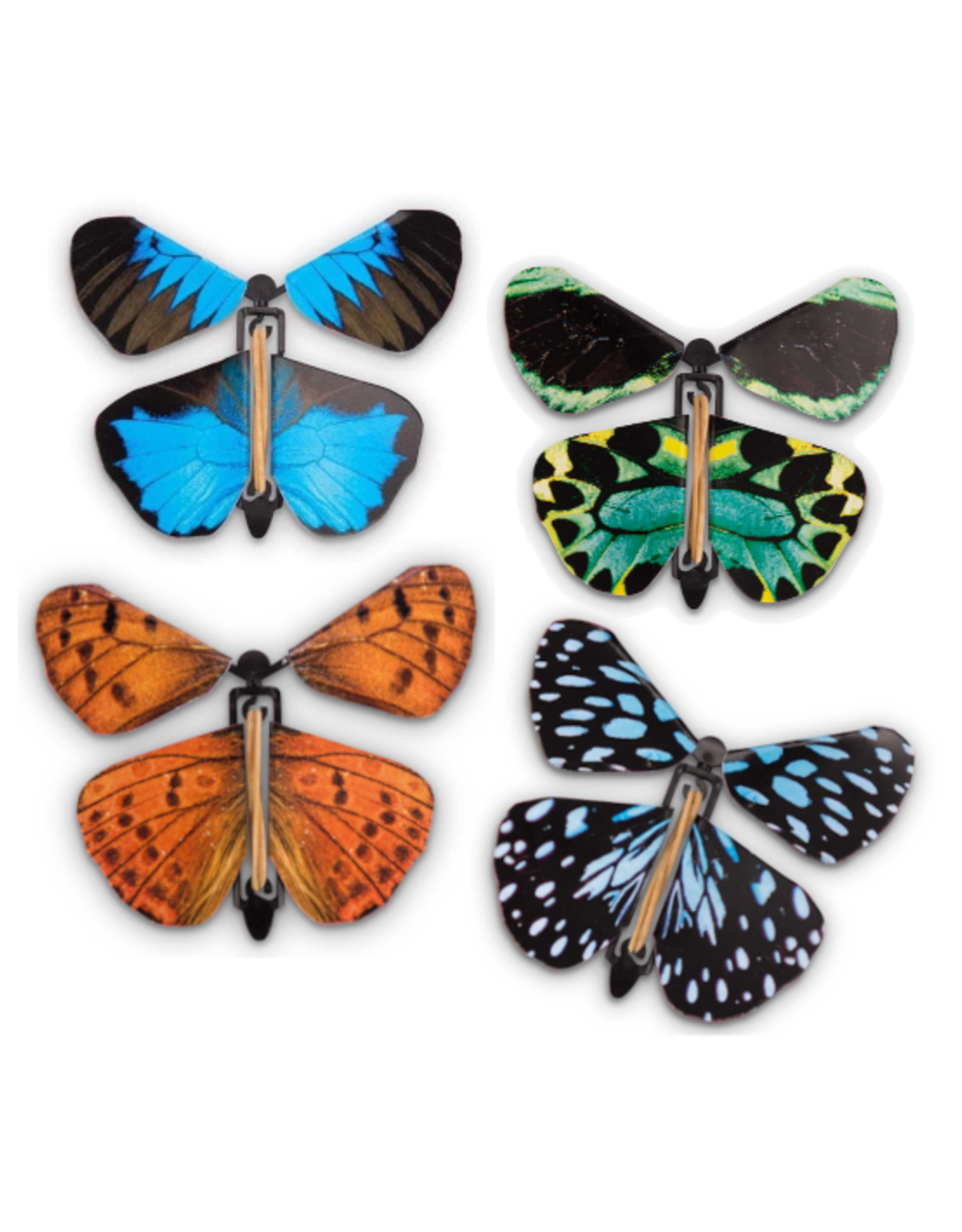 Heebie Jeebies Flying Wind Up Butterfly Assorted - Warrnambool Toys and ...