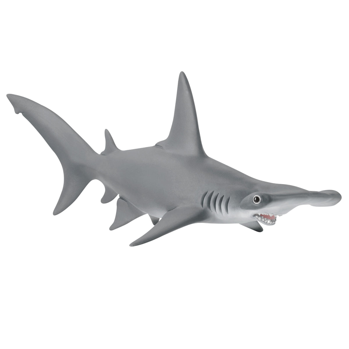 SC14835 Hammerhead Shark