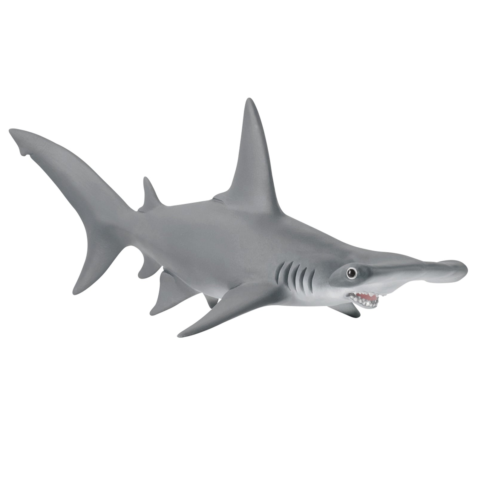 SC14835 Hammerhead Shark