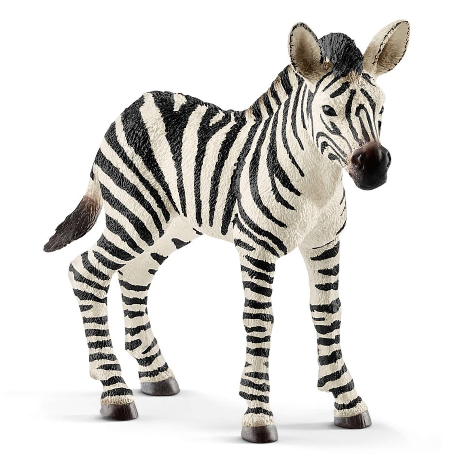 SC14811 Zebra Foal