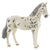 SC13910 Knabstrupper Mare