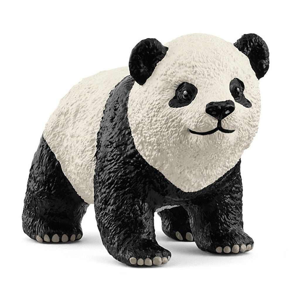 SC14886 Giant Panda Cub