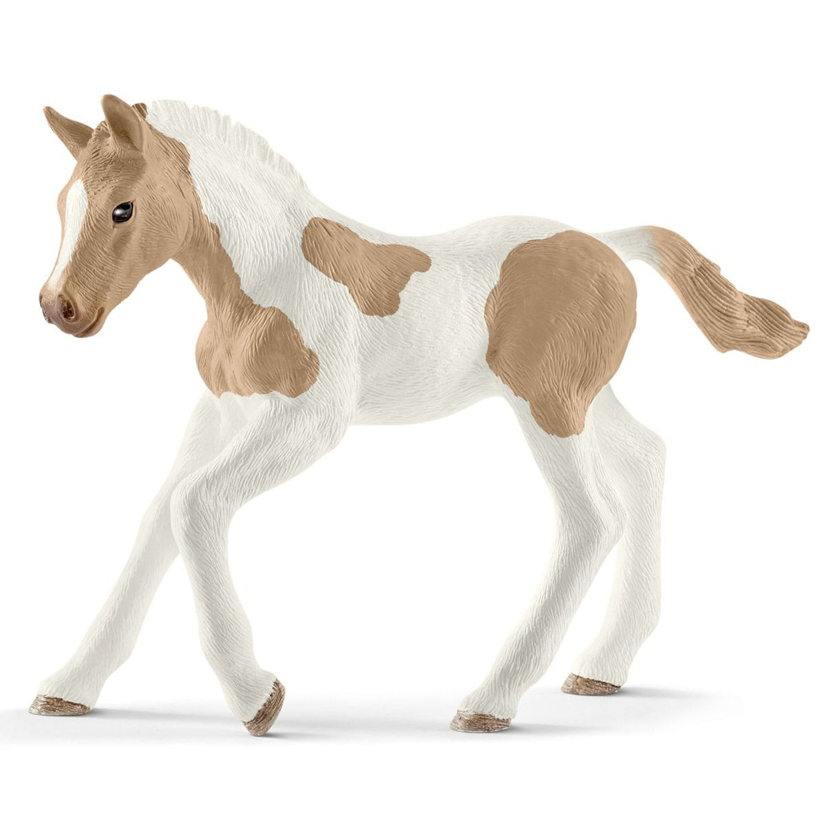 SC13886 Paint Horse Foal