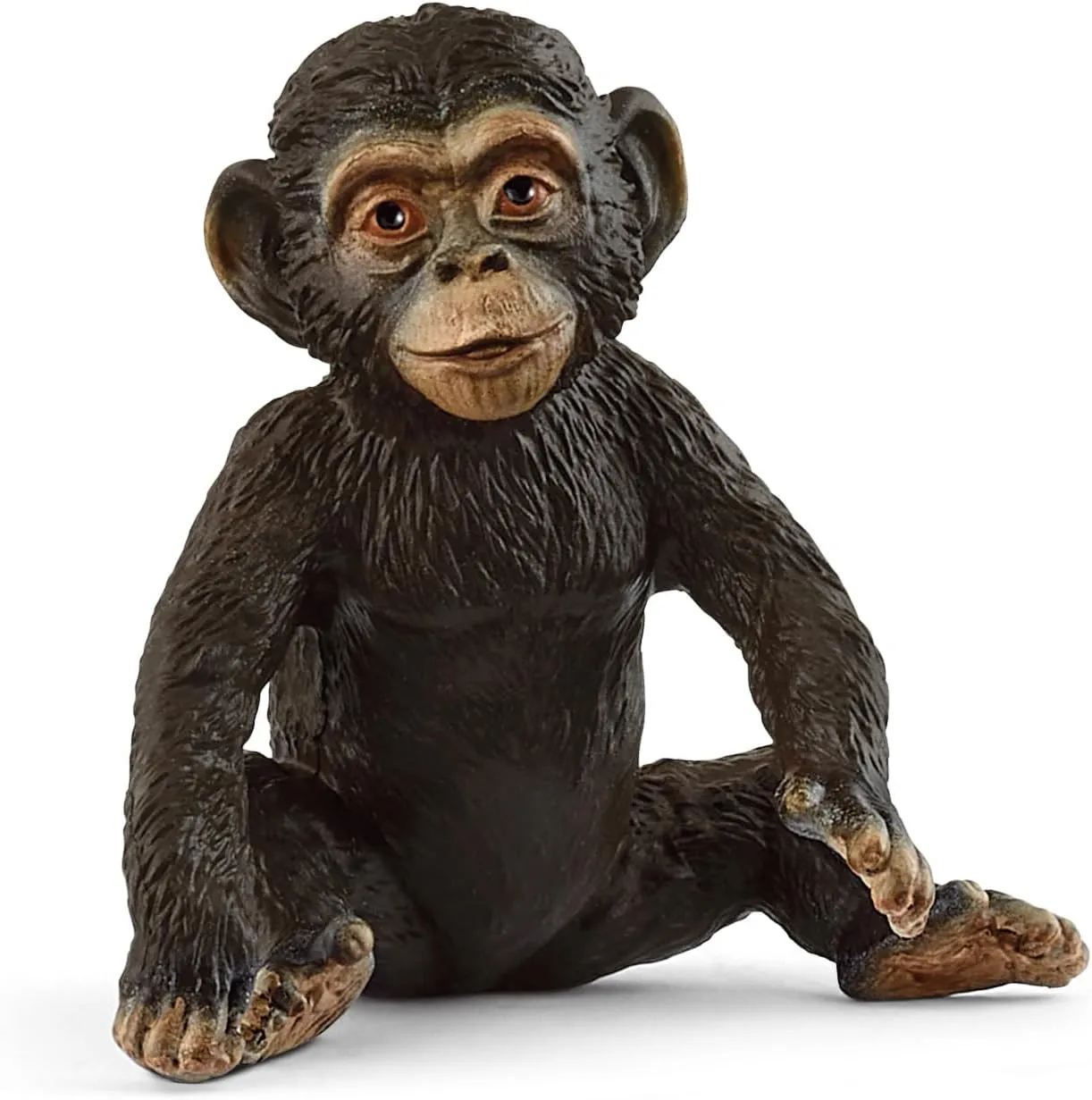 SC14884 Chimpanzee Cub
