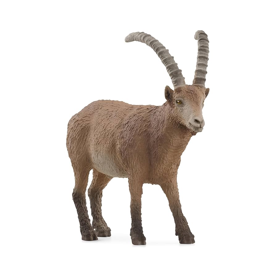 SC14873 Ibex Steinbock Capricorn