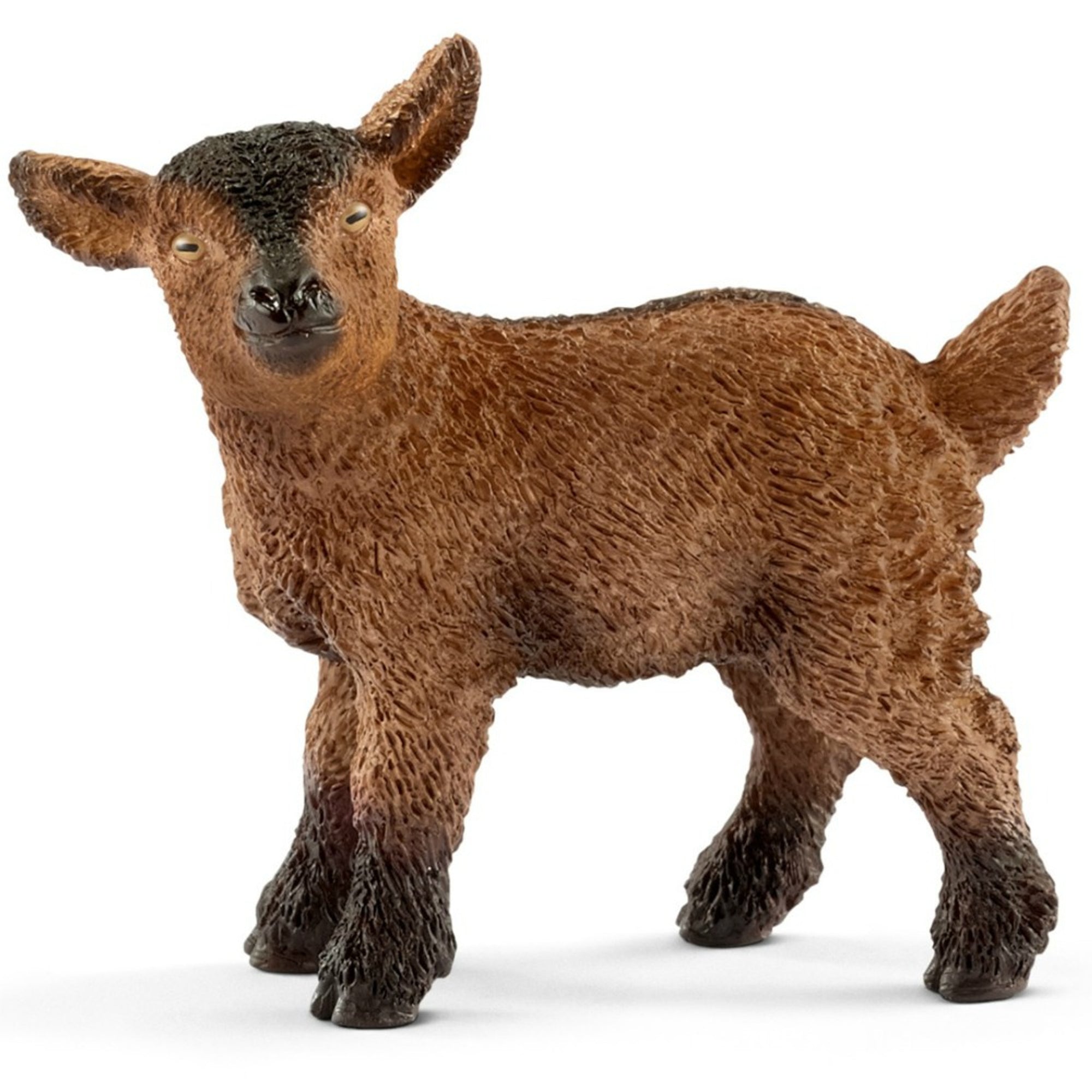 SC13829 Goat Kid