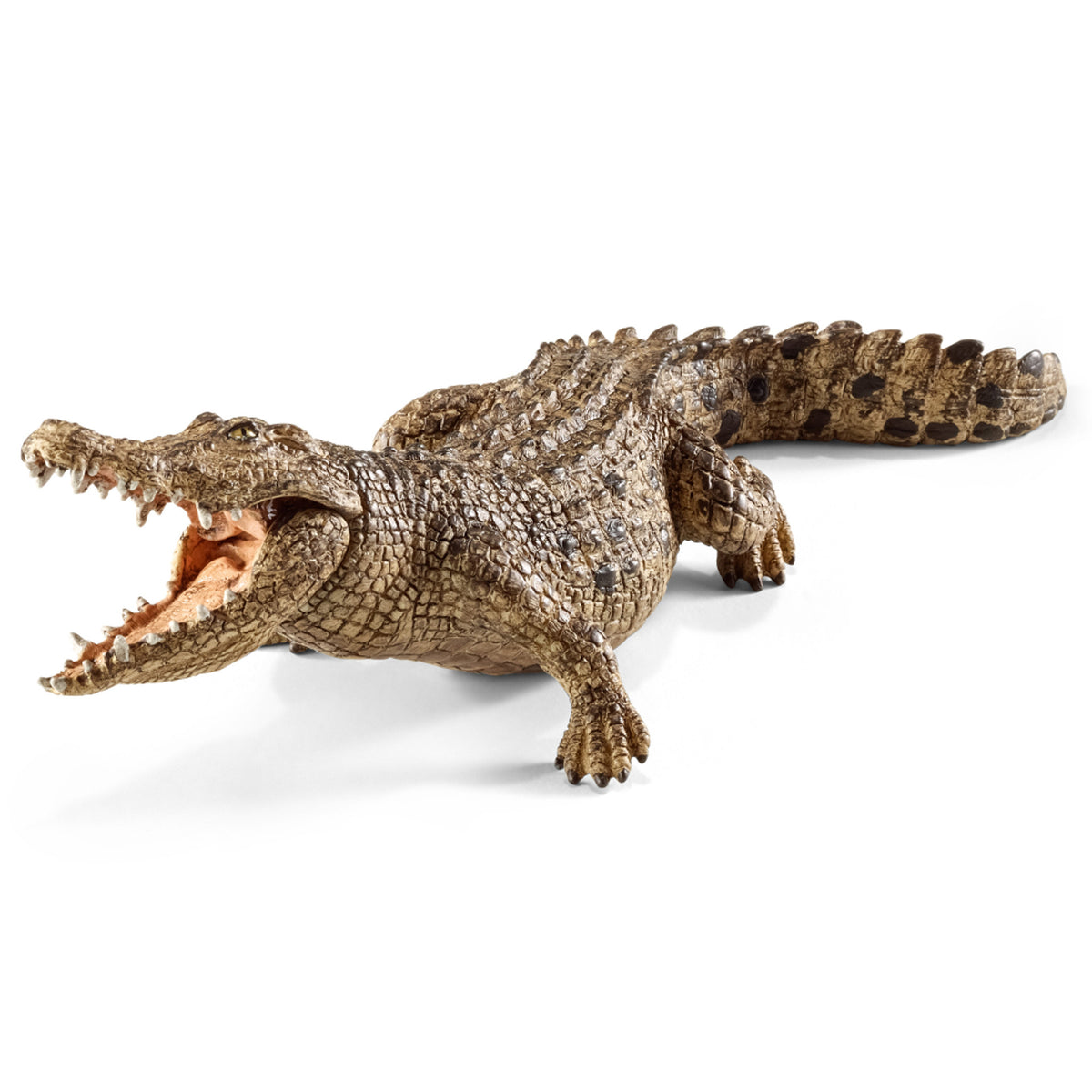 SC14736 Crocodile