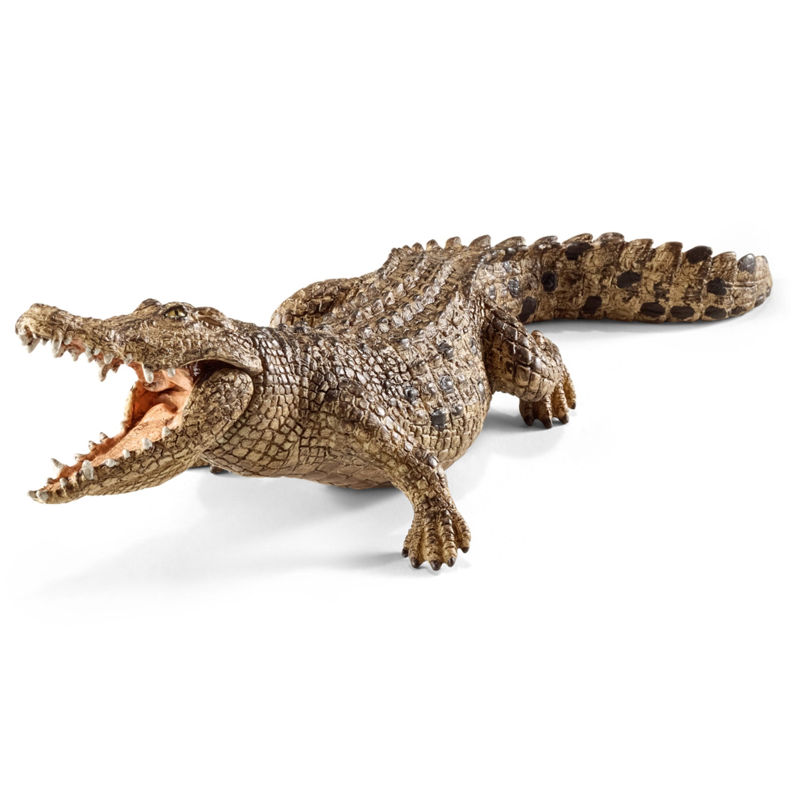SC14736 Crocodile