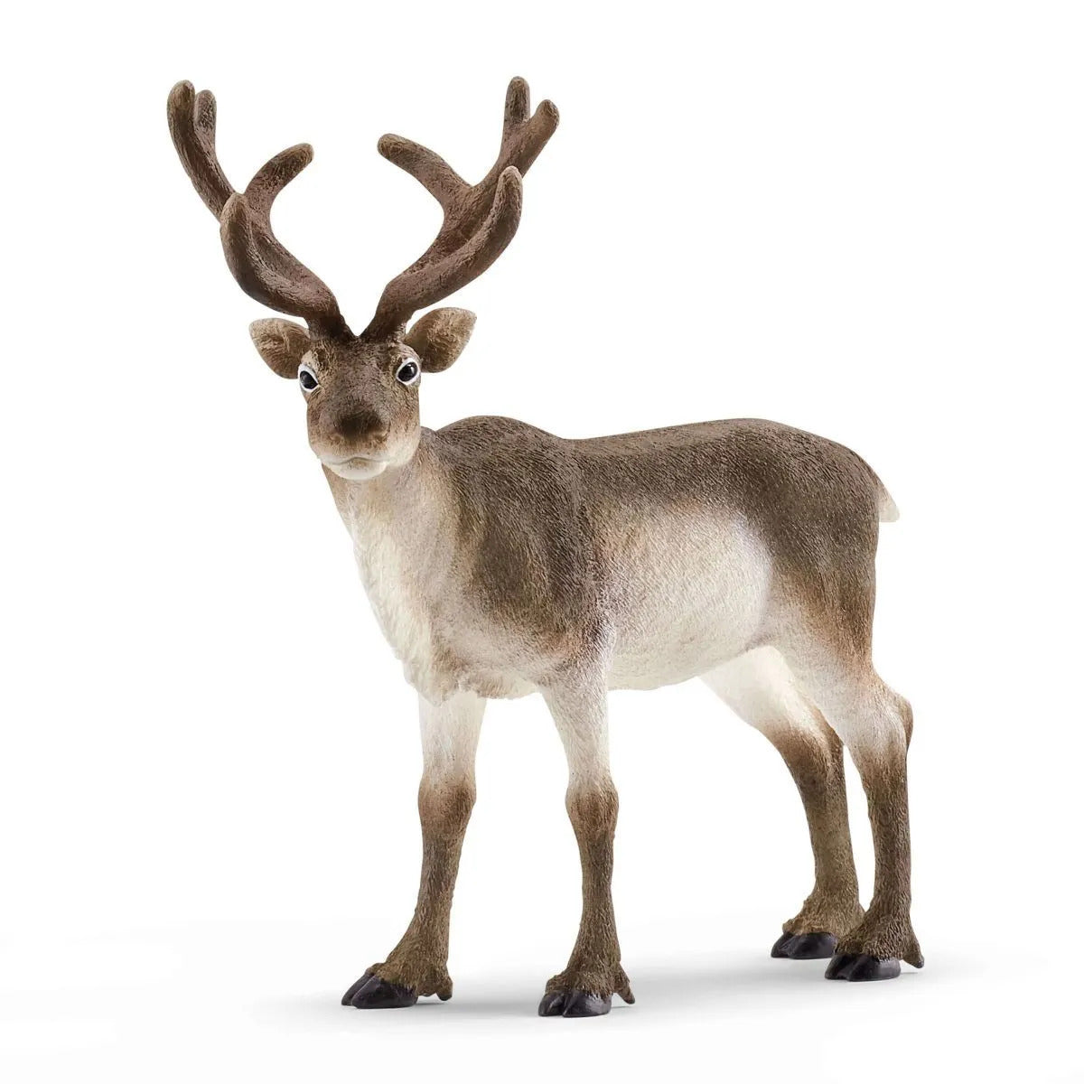 SC14837 Reindeer