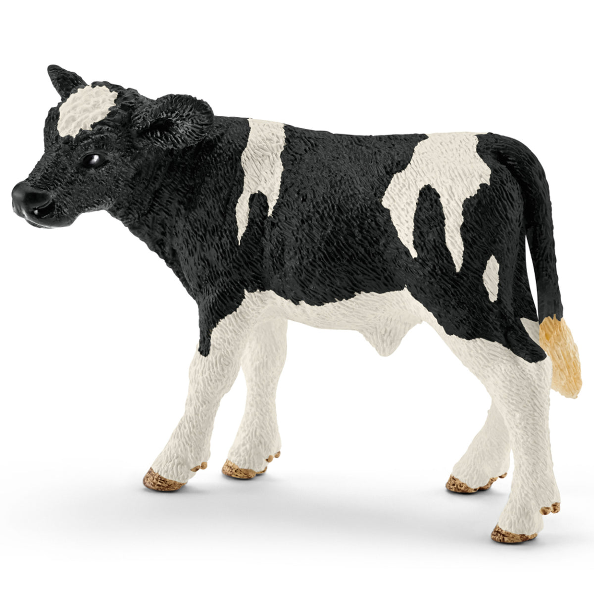 SC13798 Holstien Calf