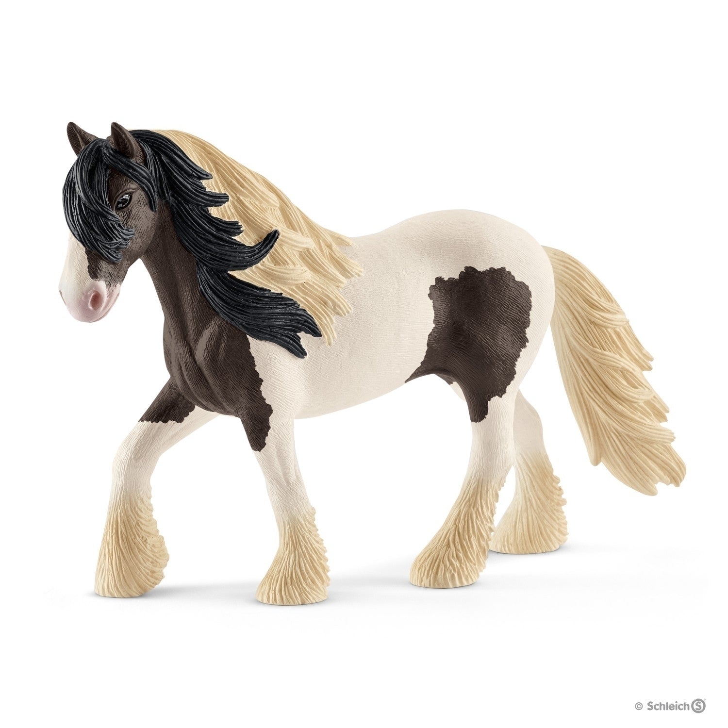 SC13831 Tinker Stallion