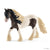 SC13831 Tinker Stallion