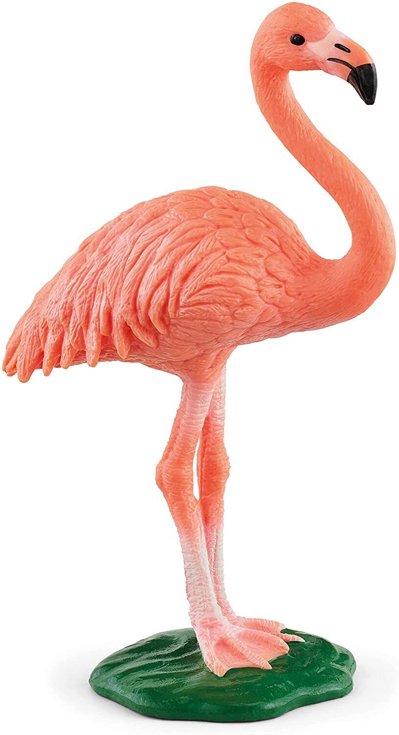 SC14849 Flamingo