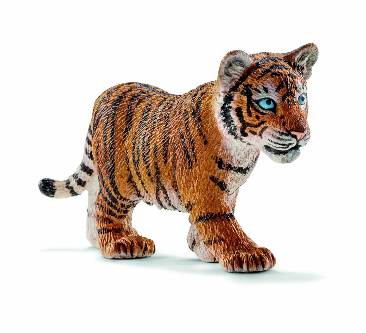 SC14730 Tiger Cub