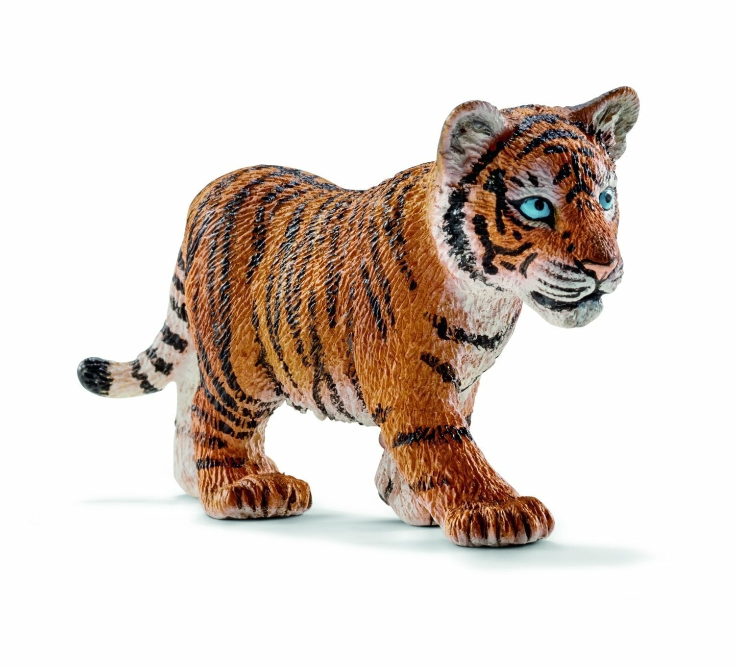 SC14730 Tiger Cub