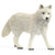 SC14880 Arctic Wolf