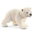 SC14708 Polar Bear Cub Walking