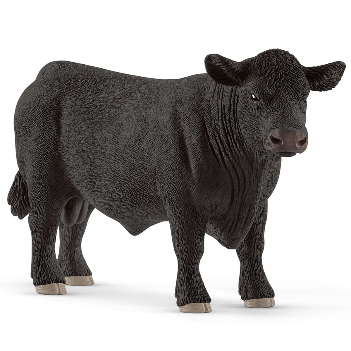SC13879 Black Angus Bull