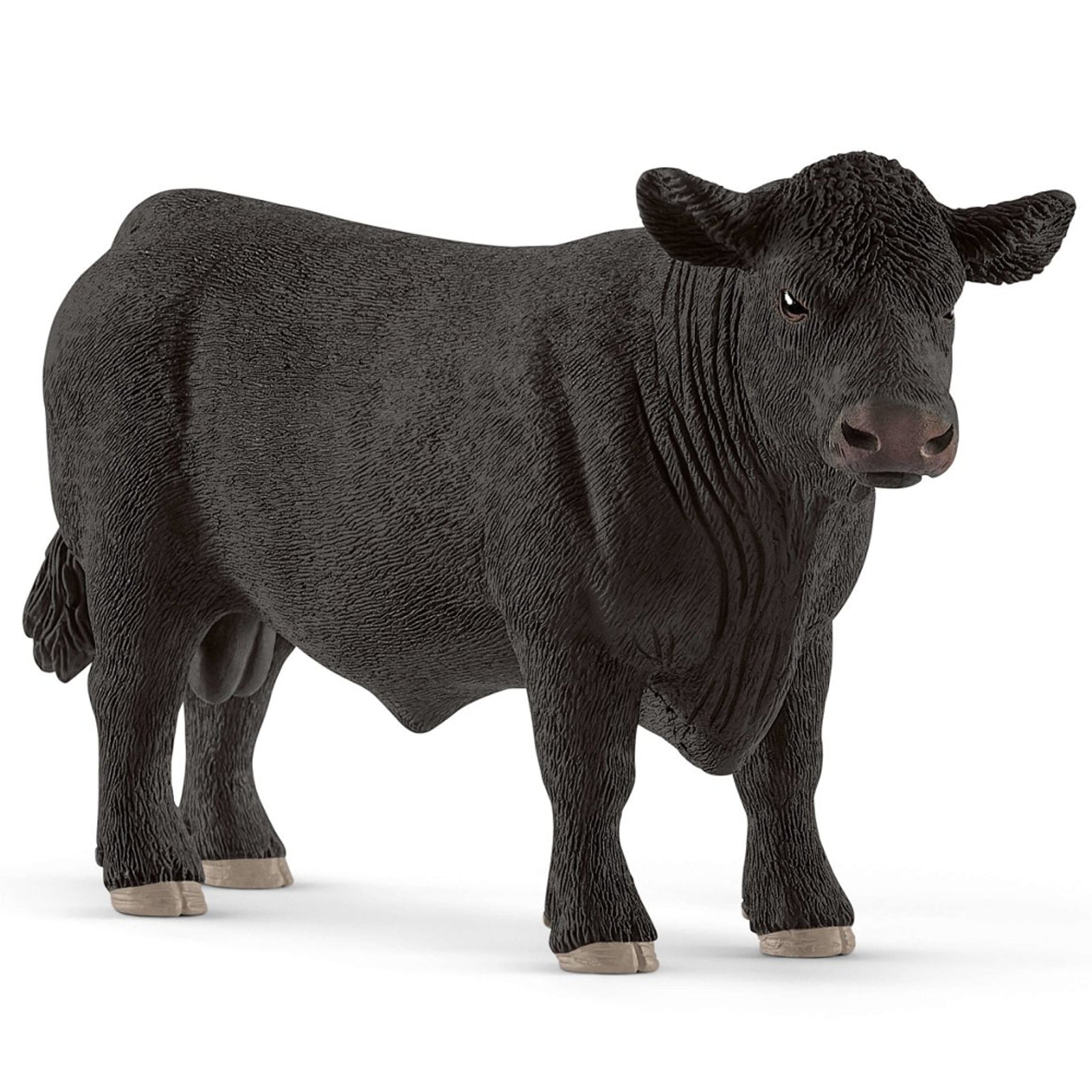 SC13879 Black Angus Bull