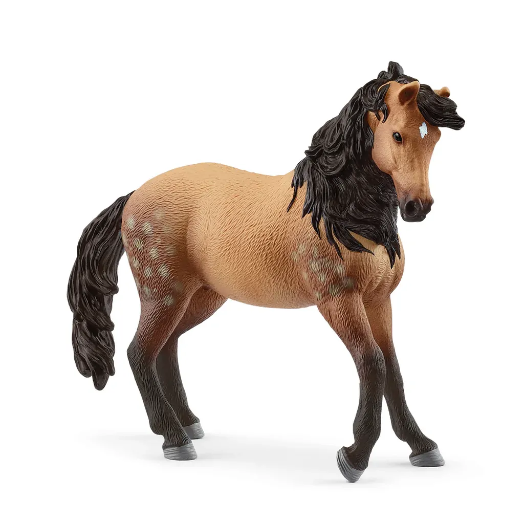 SC14894 Andalusian Mare