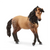 SC14894 Andalusian Mare