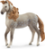 SC14895 Andalusian Stallion