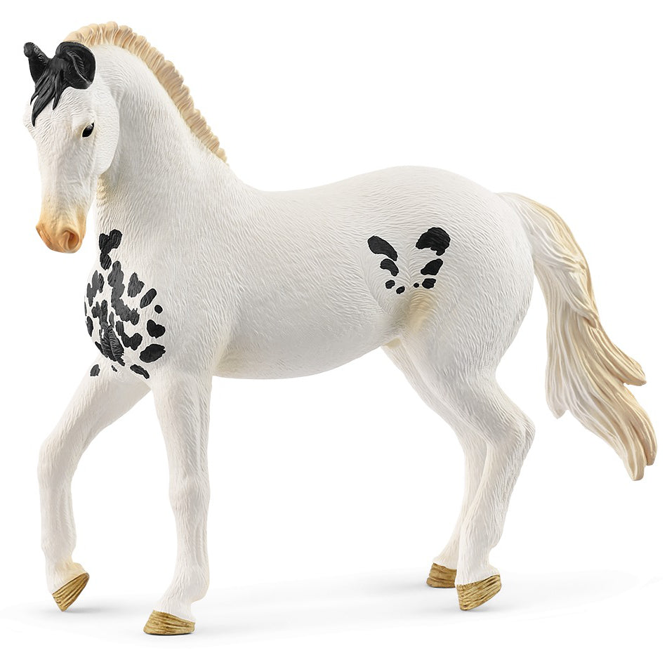 SC14898 Marwari Stallion