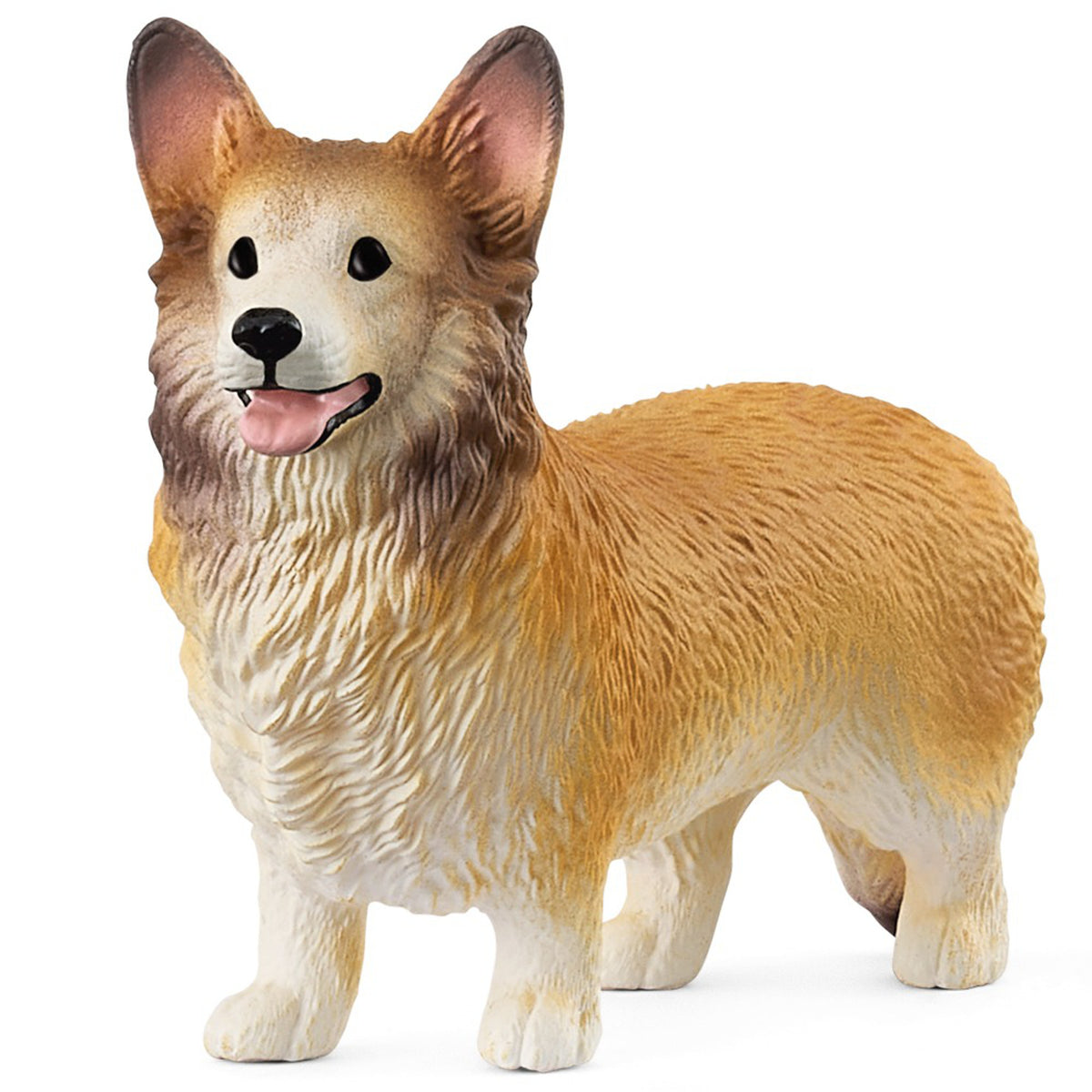 SC13999 Welsh Corgi