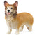 SC13999 Welsh Corgi