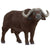 SC14872 Schleich African Buffalo