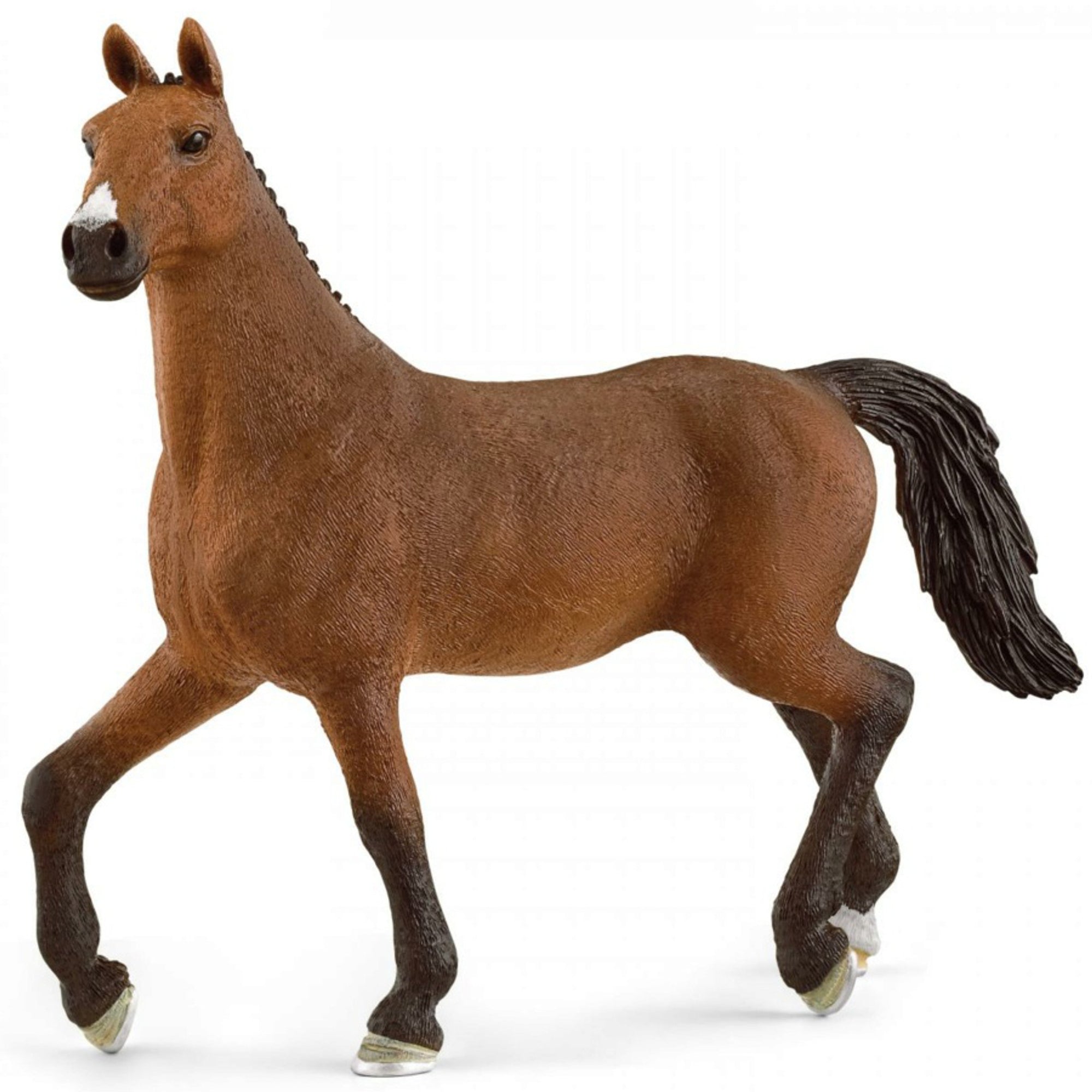 SC13945 Oldenburger Mare