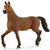 SC13945 Oldenburger Mare