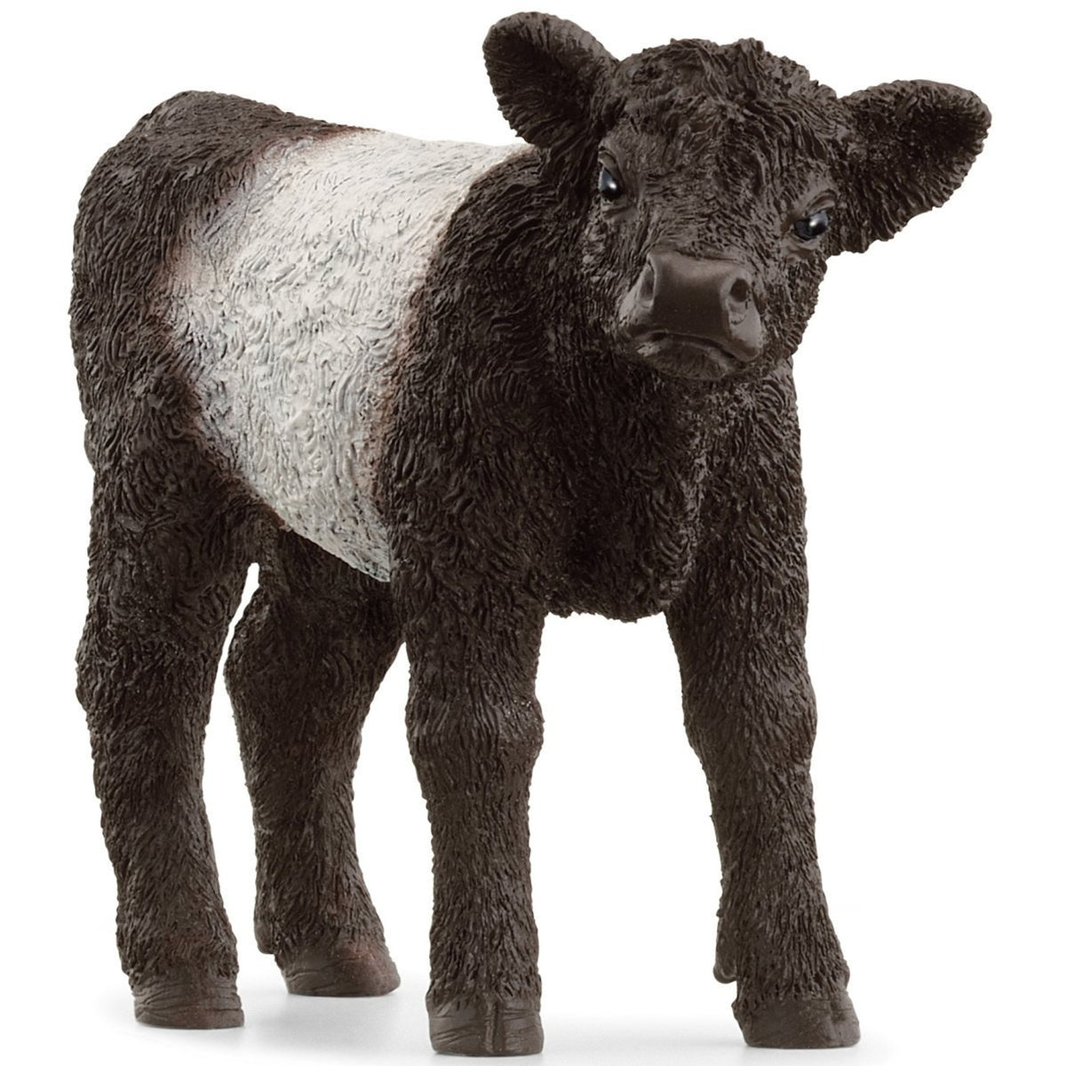 SC13969 Schleich Galloway Calf